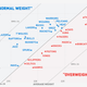 Illustration for article titled Charts: Who Are The Oldest And Fattest Teams In The NBA?